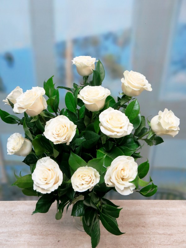 Dólar Inactividad Sociedad Ramo de 12 rosas Blancas Tallo largo 70 cm. | Mayoflor.com