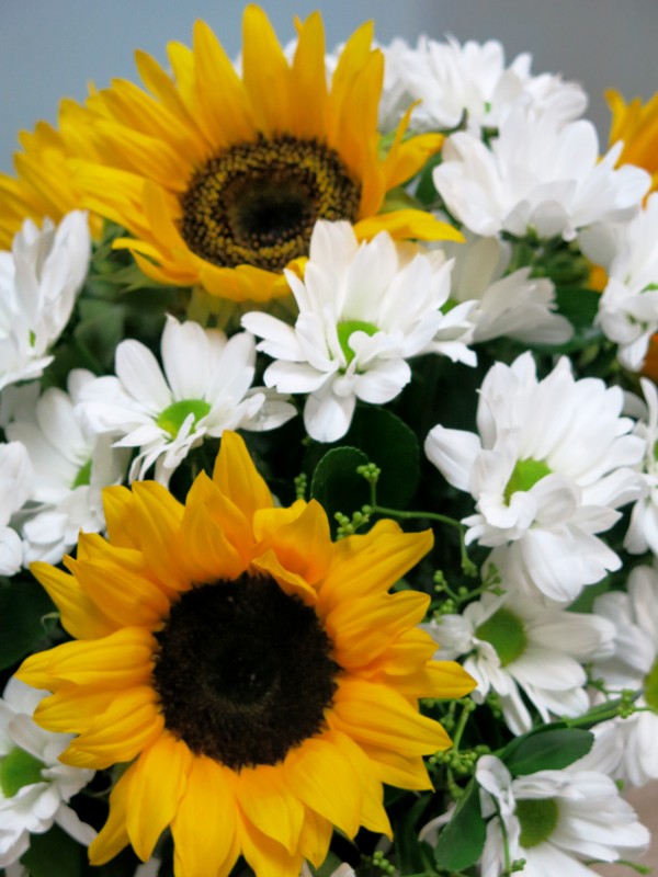 Cargamos la carretilla con Margaritas, Girasoles y más - Foto 4