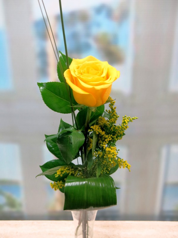 1 Rosa Amarilla para regalar | Mayoflor.com