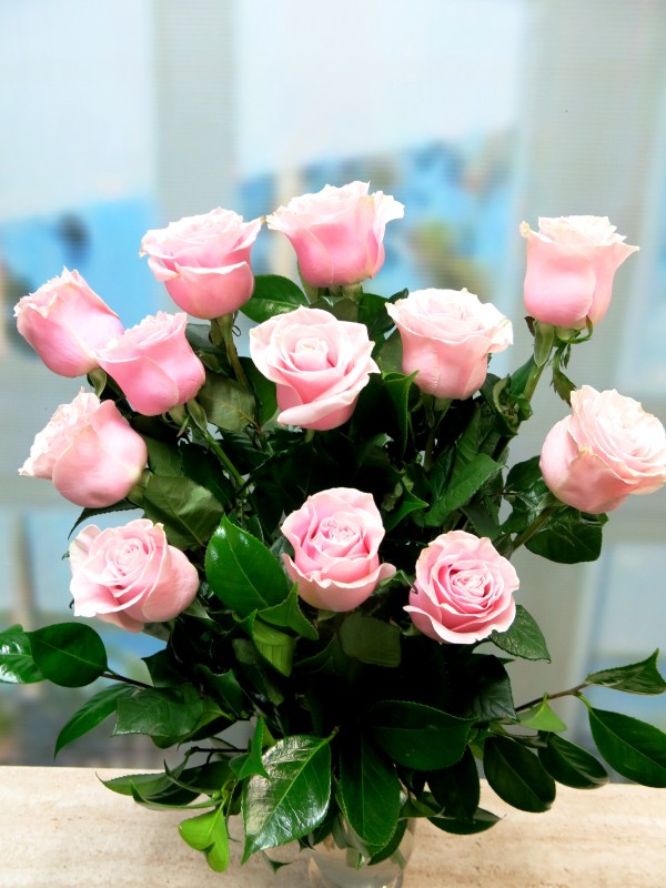 Ramo de 12 Rosas de color rosa. Tallo largo 70 cm | Mayoflor.com