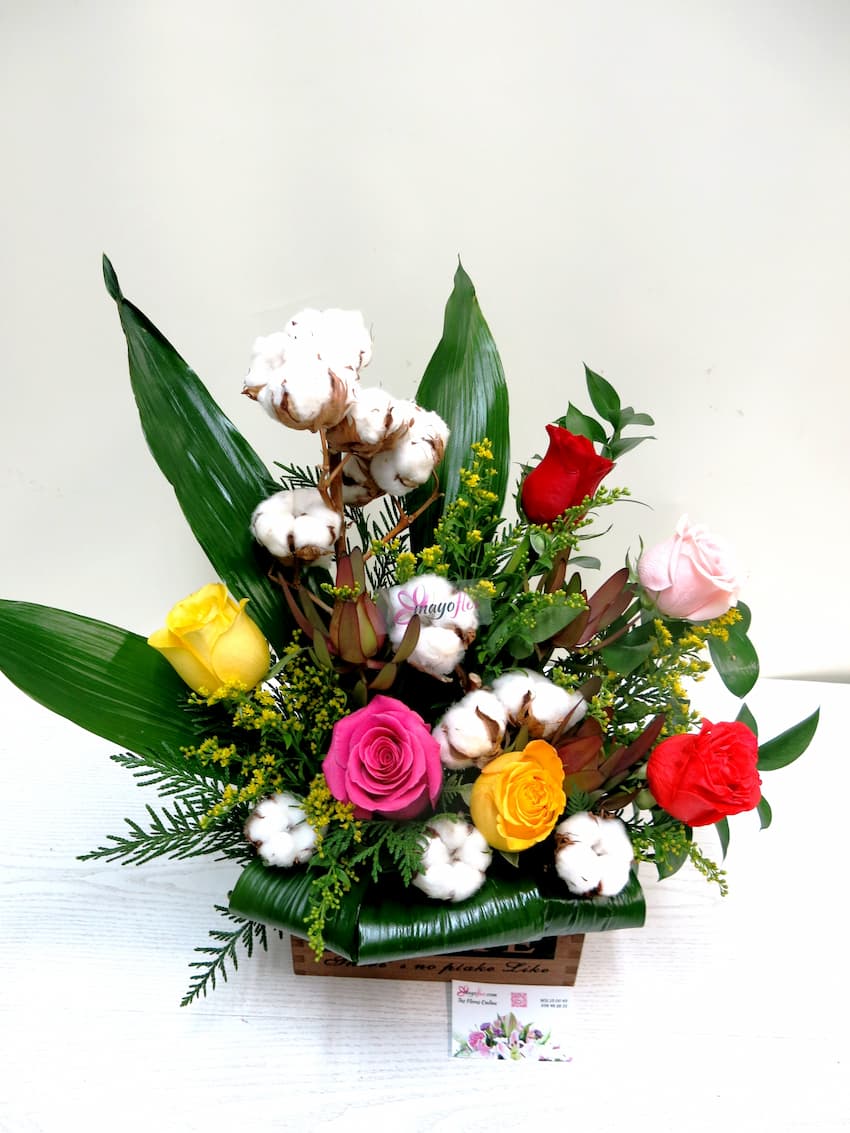 Assorted Roses and Cotton - Foto principal