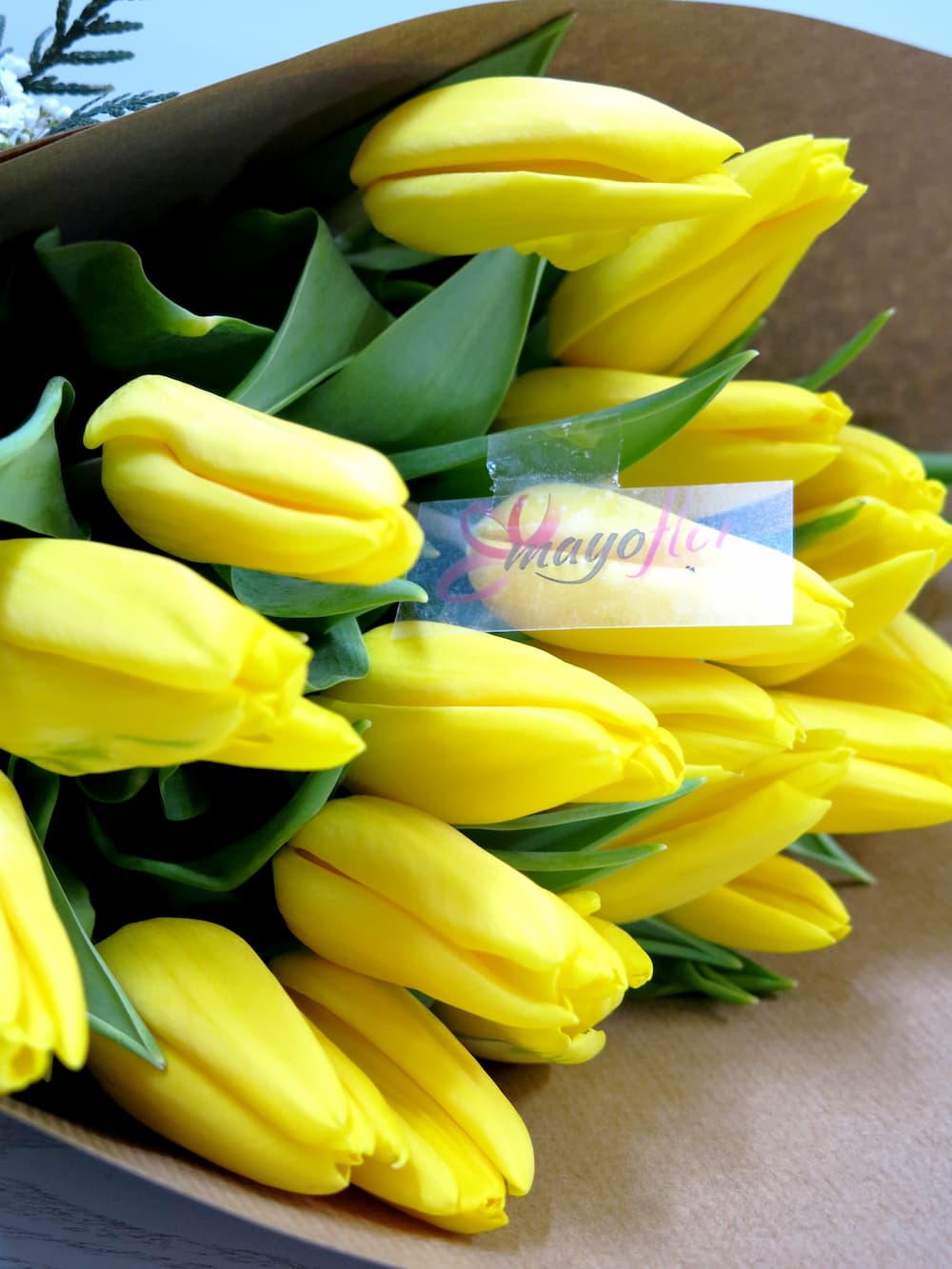 Tulipanes para regalar y para mí - Foto 2