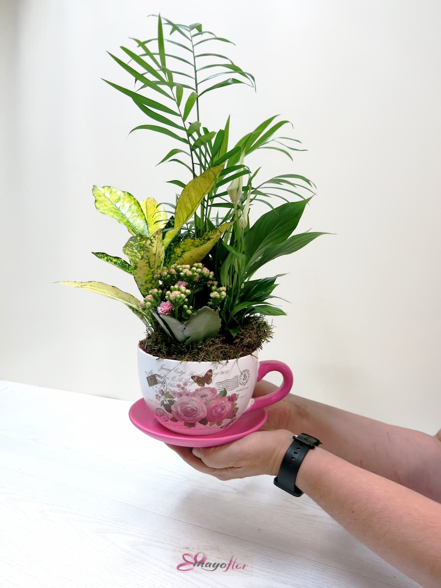 Plantas naturales en taza de cerámica decorada - Foto 4