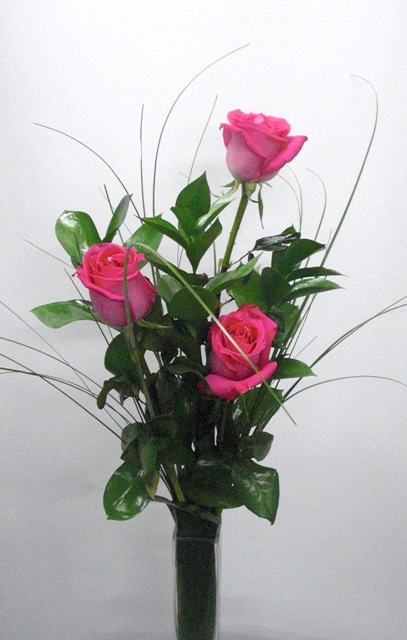 3 Rosas tallo largo de color rosa