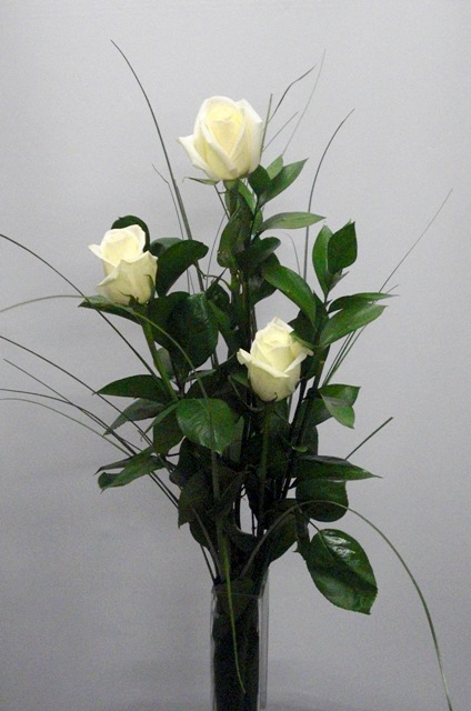 3 Rosas tallo largo de color blanco