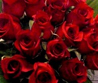 Bouquet of 18 Roses plus Wine - Foto 2