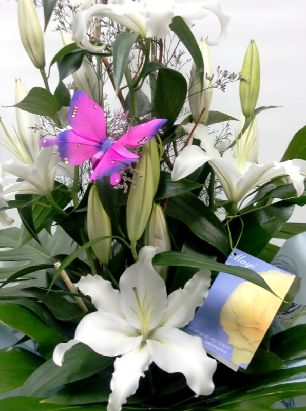 White Lilium in a vase - Foto 2