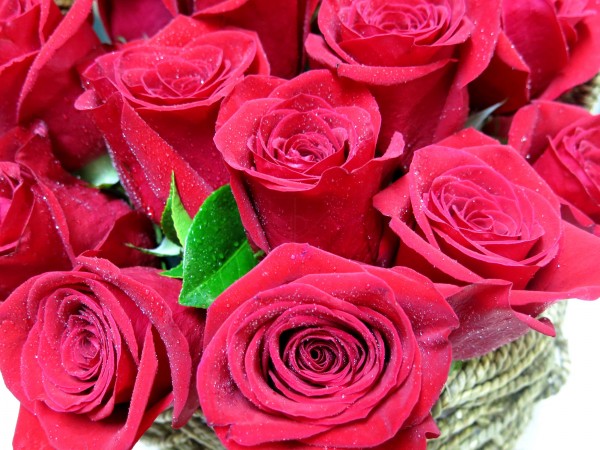 Basket of Roses Valentine - Foto 4