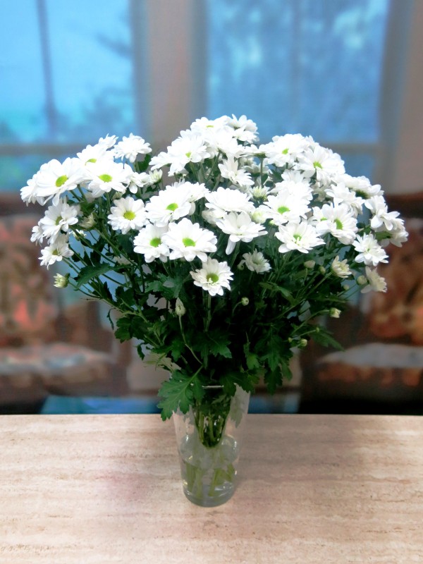 GIFTS White daisies 10 stems - Foto 4