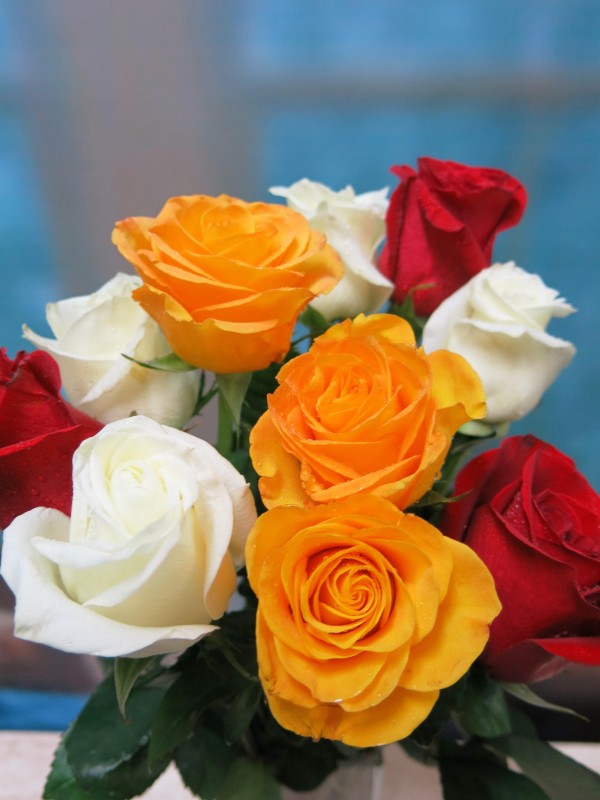 Cesta con 24 Rosas y una Mariposa de regalo. de color variadas