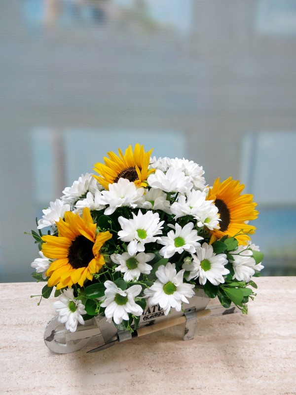 We load the cart with Daisies and Sunflowers - Foto 2