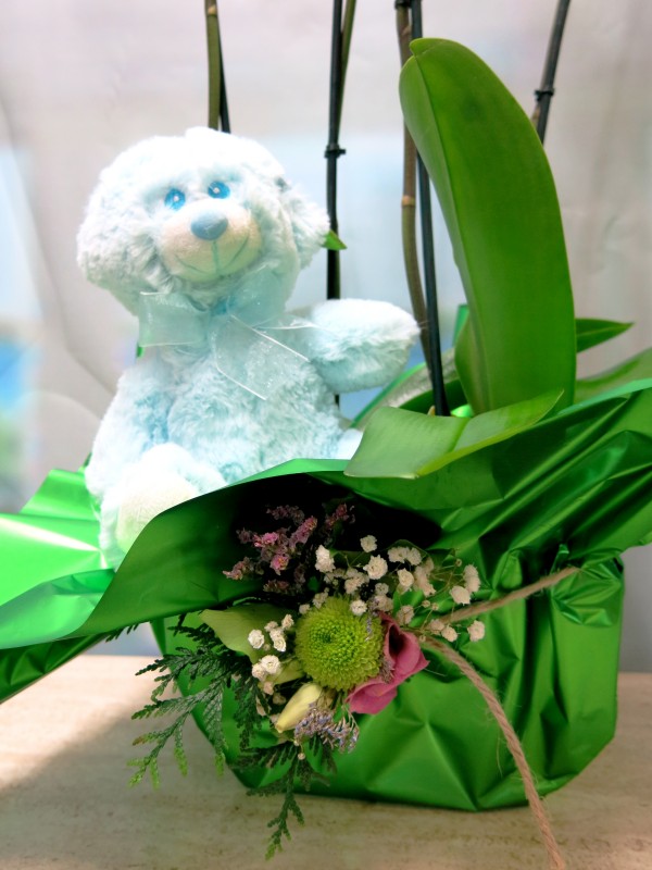 2 Phalenopsis Orchid with a teddy bear - Foto 4