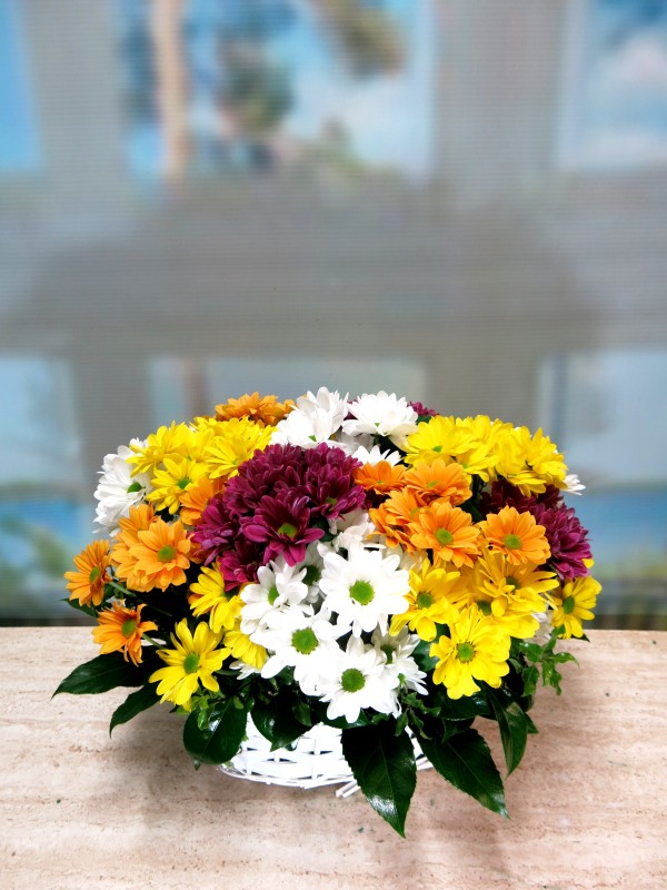 Basket of assorted daisies - Foto principal