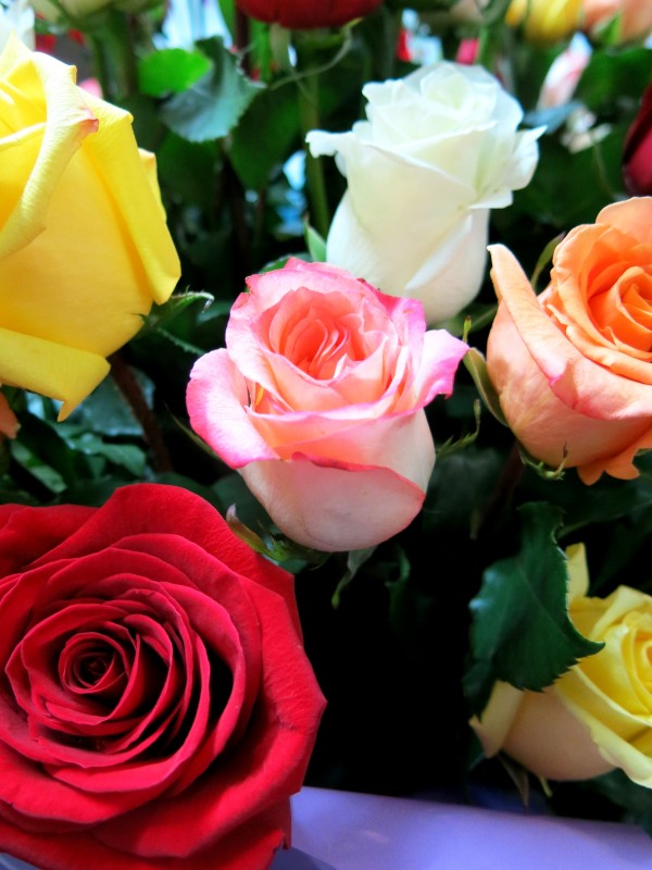 Jarrón con 100 Rosas variadas - Foto 3