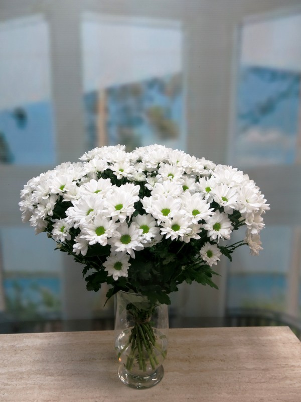 Daisies for Me. 15 stems - Foto 2